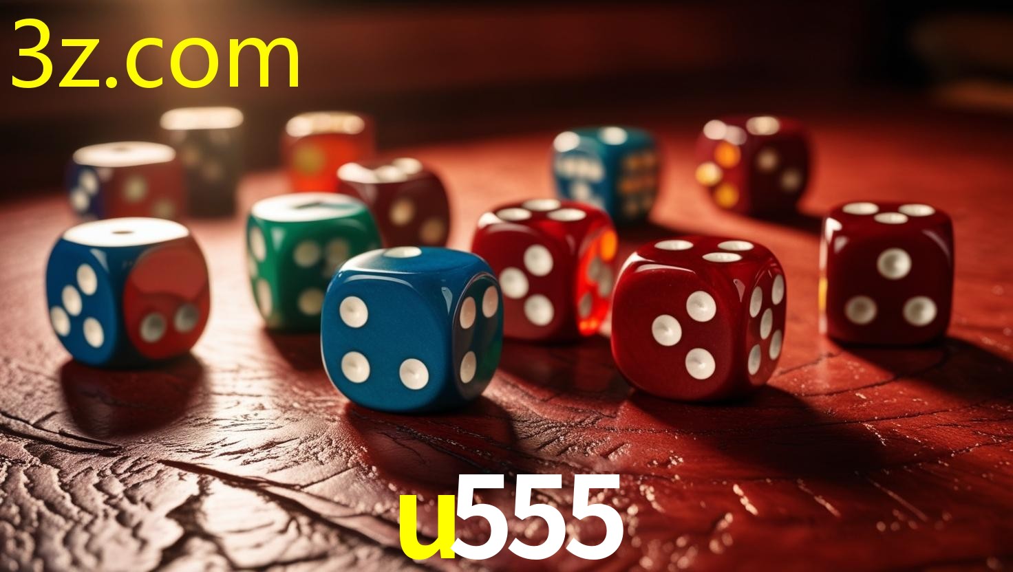 U555